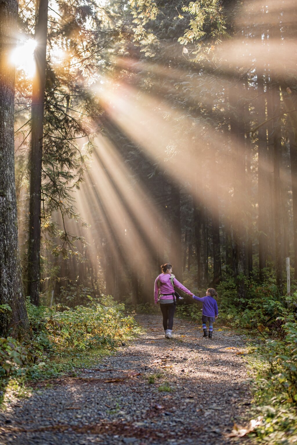 Een moeder en haar kind lopen door een zonnig bos.